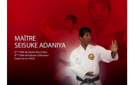 STAGE EXPERT MAITRE SEISUKE ADANIYA